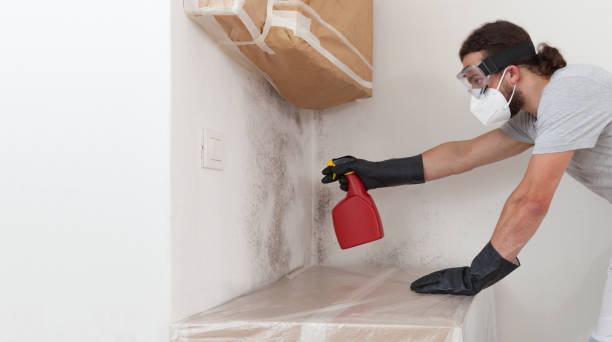 Professional Attic Mold Removal technician working in West Babylon, NY