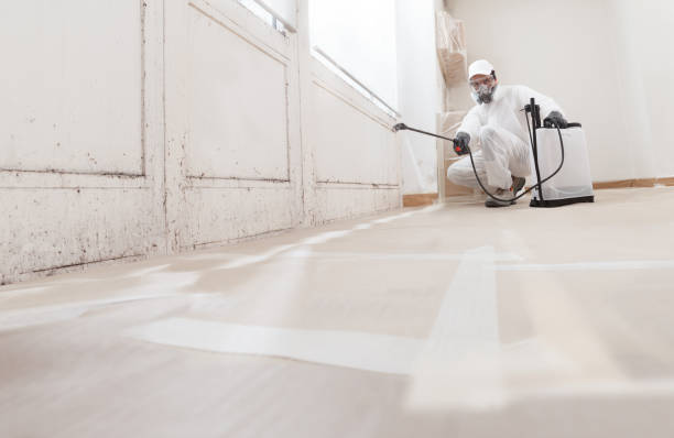 24/7 Emergency Attic Mold Removal experts in West Babylon, NY